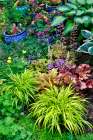 Sammamish, WA. Japanese grasses planted along with hosta, impatiens and Coralbells in garden Art Print